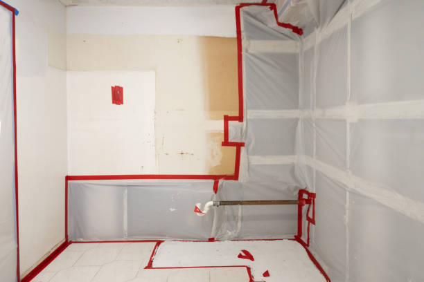 Environmental Consulting for Mold Prevention in Sandia Knolls, NM