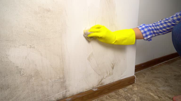 Best Industrial Mold Remediation  in Sandia Knolls, NM