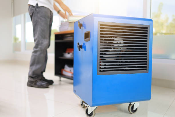 Best Comprehensive Air Testing for Mold Contaminants  in Sandia Knolls, NM