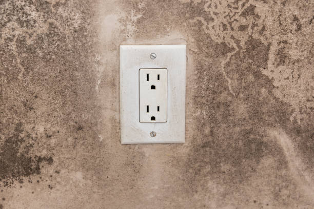 Forensic Mold Investigation in Sandia Knolls, NM